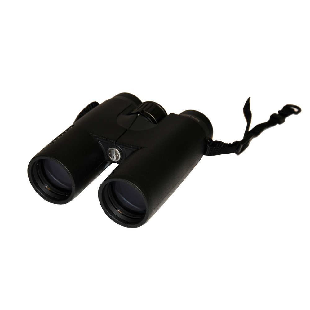 Bushnell elite hot sale 10x42 ed