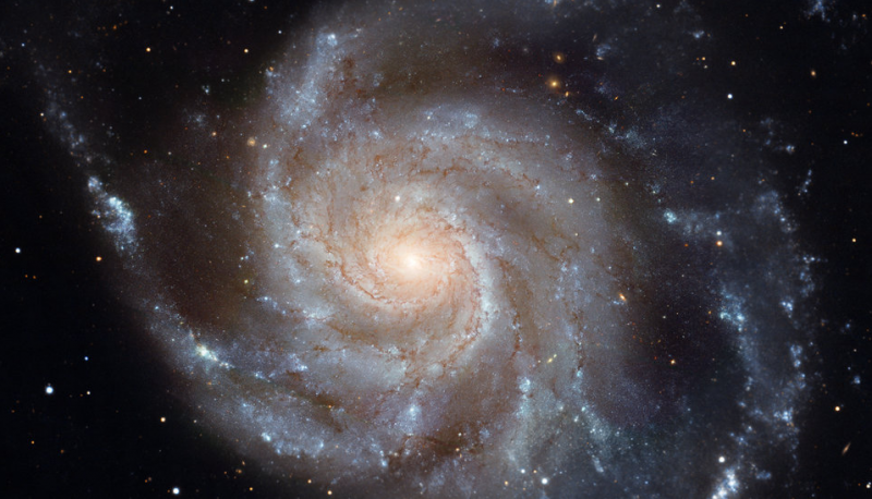 As Much as Half of the Milky Way Likely Came From Distant Galaxies