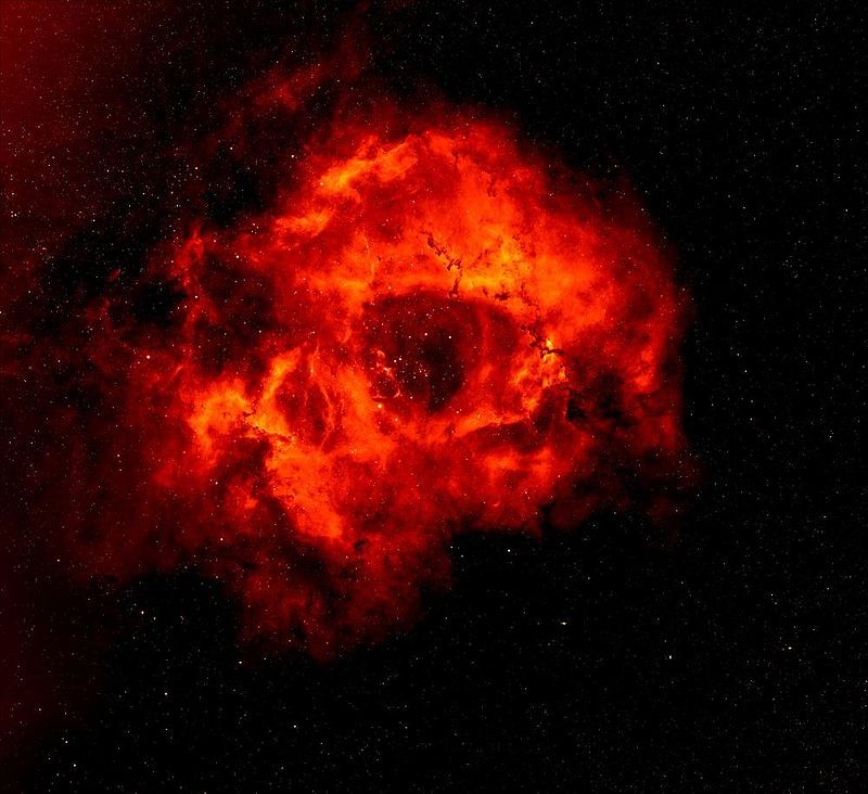 Getting to the Heart of the Rosette Nebula: How It Got Its Rose Shape