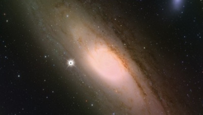 Could Dark Matter Be Black Holes?