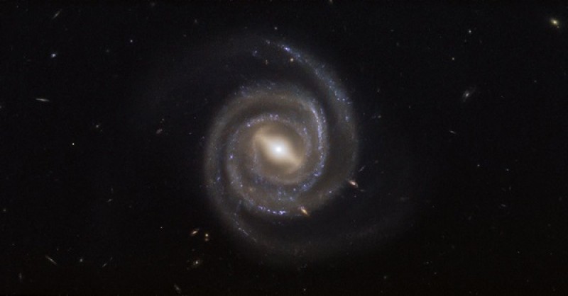 How galaxies and their supermassive black holes grow together