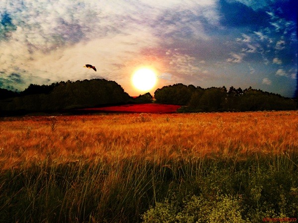 The Sky This Week: Welcome, summer!