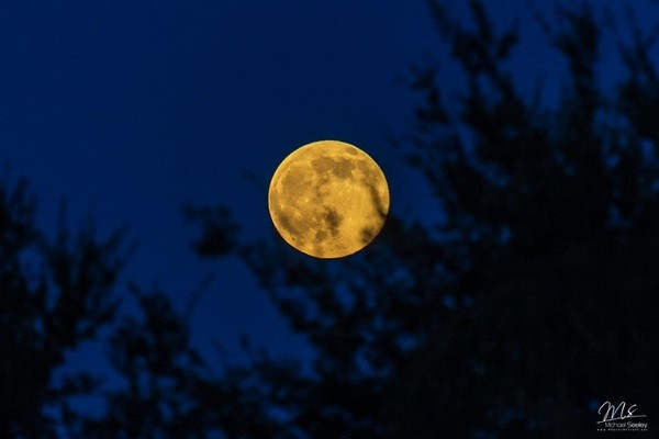 The Sky This Week: Enjoy July's Buck Moon
