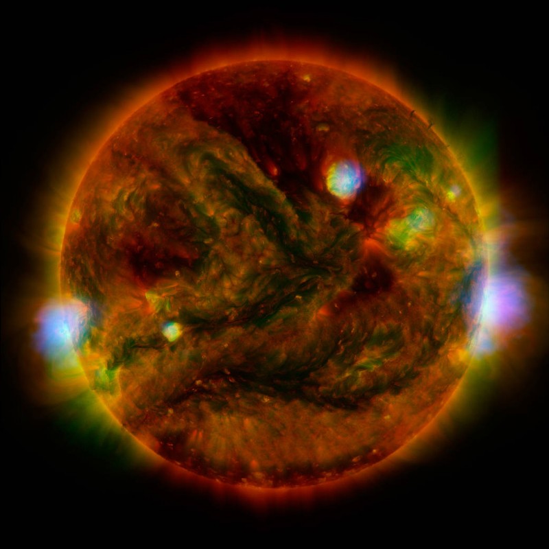Image of the Day