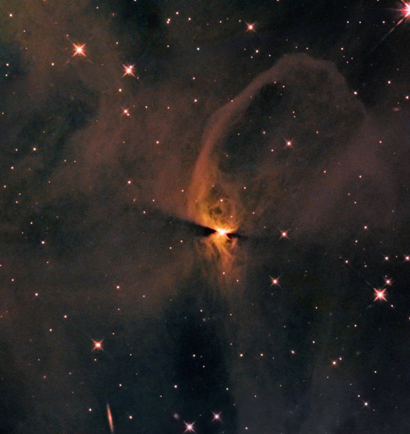 Image of the Day: Hubble Spies Newly Forming Star Incubating in IC 2631