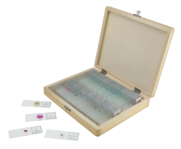 Celestron 100 Piece Prepared Microscope Slide Kit
